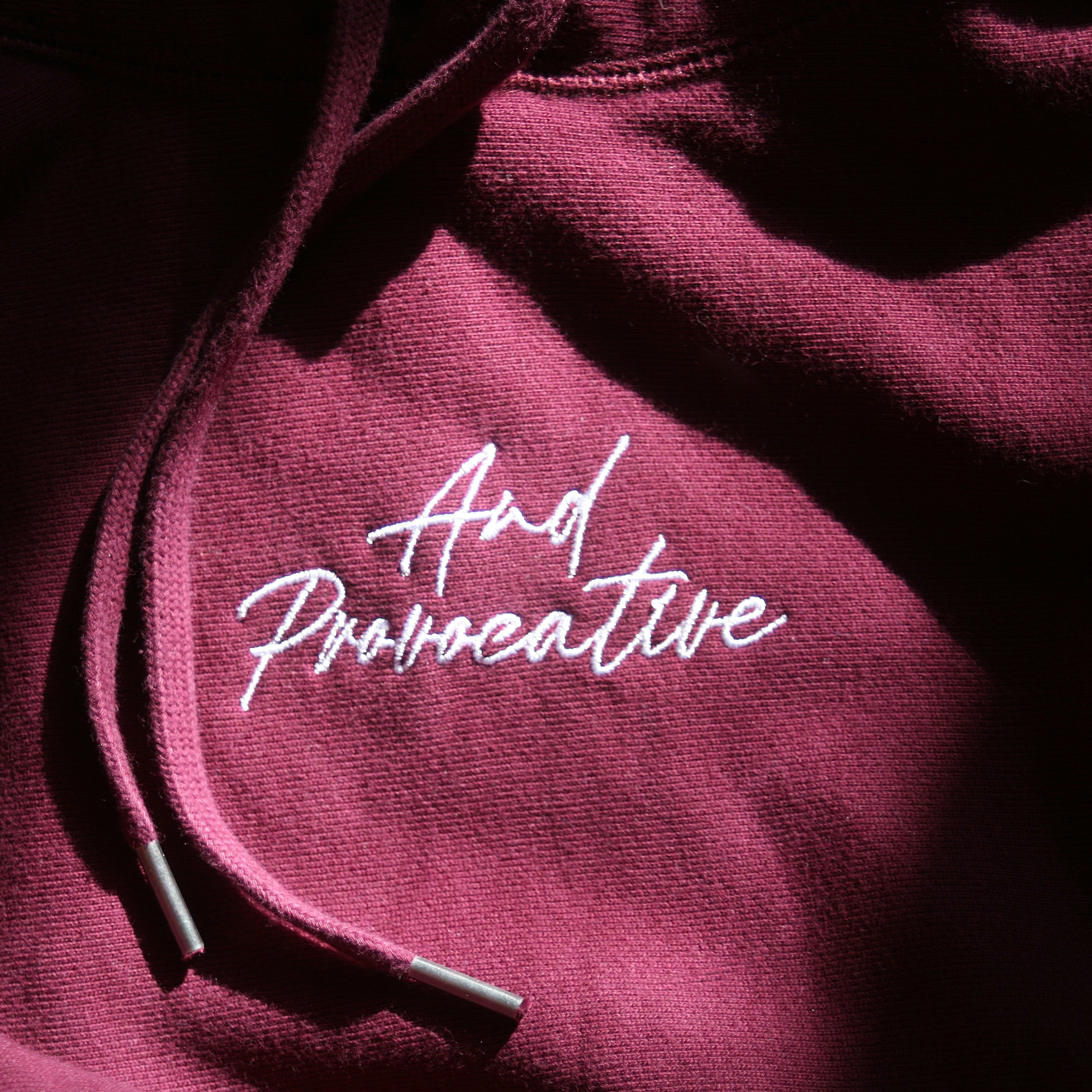And Provocative Embroidered Hoodie