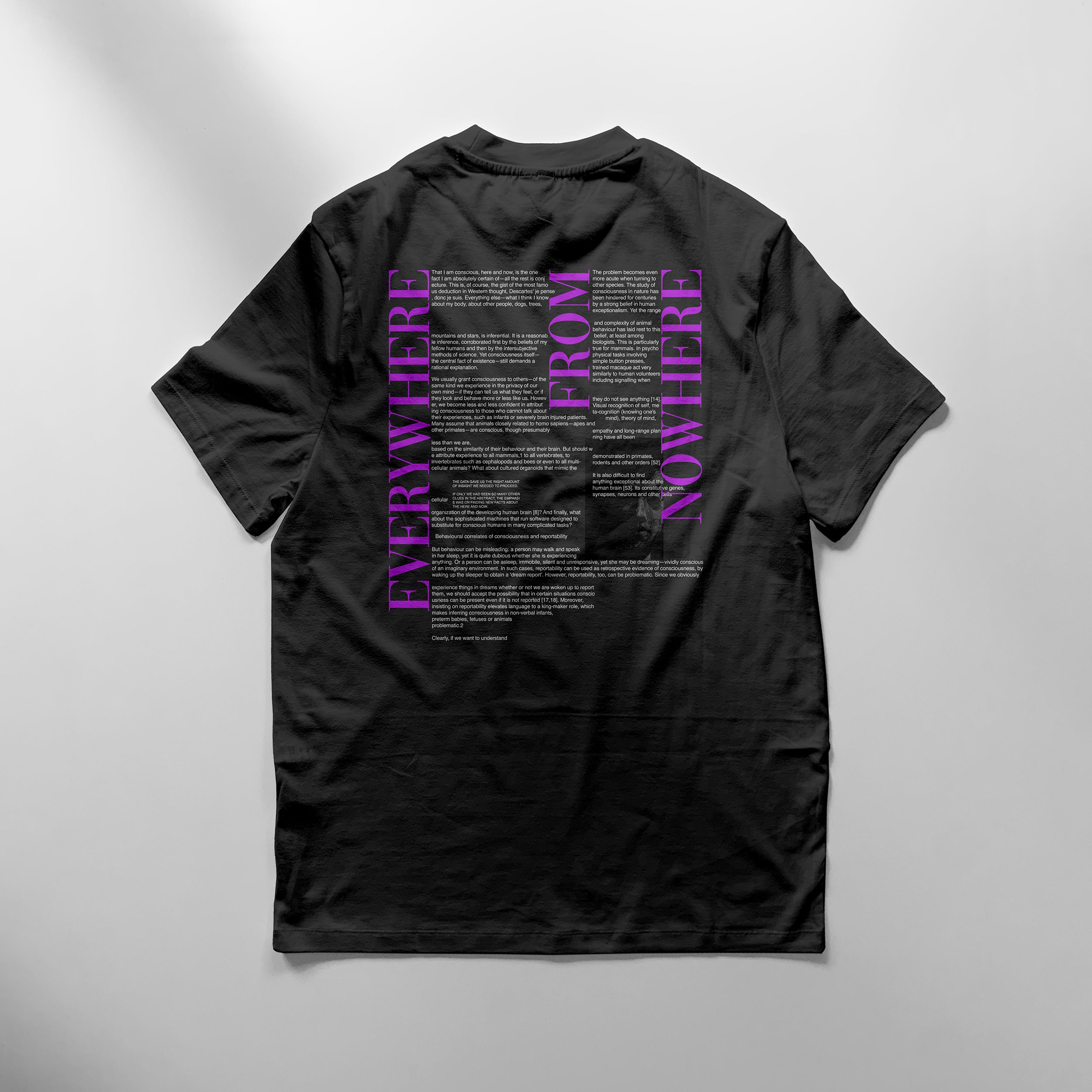 The Hypothesis T-Shirt
